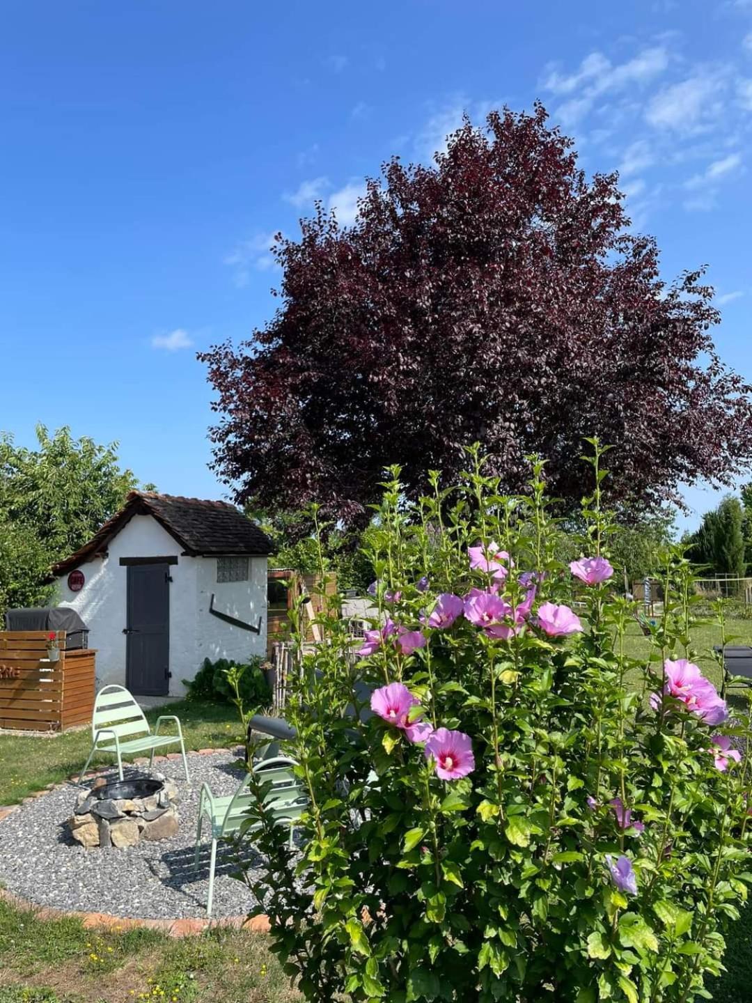 Le Heron Pourpre B&B Gastronomique Cronat Exteriér fotografie