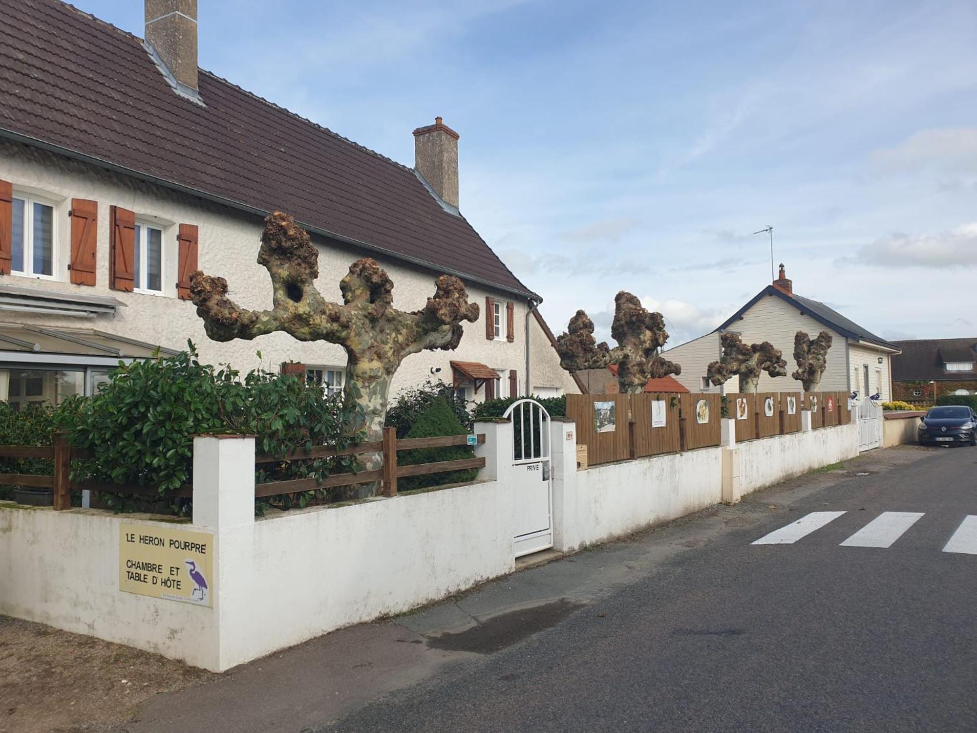 Le Heron Pourpre B&B Gastronomique Cronat Exteriér fotografie